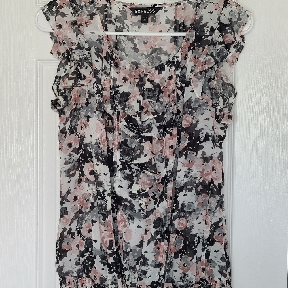 Express sheer ruffle sleeve top XS